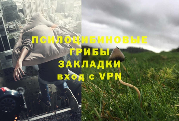 хмурый Алексеевка