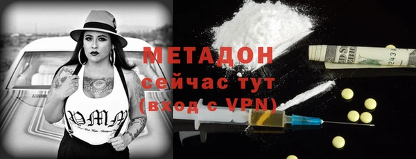 прущие грибы Арсеньев