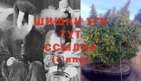 прущие грибы Арсеньев