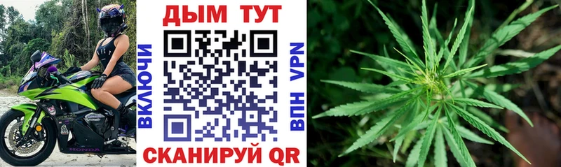 закладки  Белореченск  Марихуана конопля 